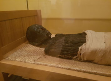 Raciborska mumia. Już w tym tygodniu wyniki najnowszych badań