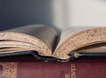 Odkryj klasyki literatury polskiej. Jastrzębska biblioteka zaprasza na Narodowe Czytanie