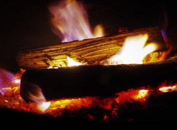 Gdzie rozpalić ognisko w lesie? Leśnicy publikują regulamin