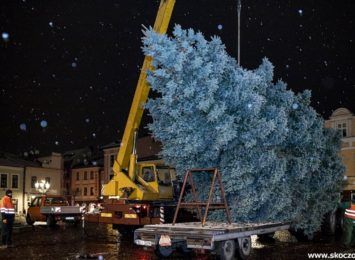 Operacja choinka! Kolejne miasto w regionie ma piękne drzewko bożonarodzeniowe na rynku [WIDEO,FOTO]