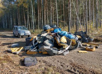 Regionalna Dyrekcja Lasów Państwowych w Katowicach: Dzikie wysypiska w lasach to poważny problem!