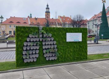 "Zielona ściana" stanęła na wodzisławskim rynku! Jeszcze można przynosić swoje rośliny