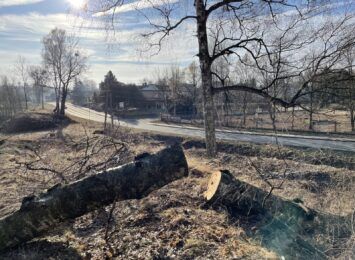 Rozpoczęła się wycinka drzew pod budowę drugiego etapu Drogi Regionalnej w Rybniku
