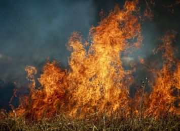 Wypalanie trawy przyczyną groźnego zdarzenia w Bełsznicy