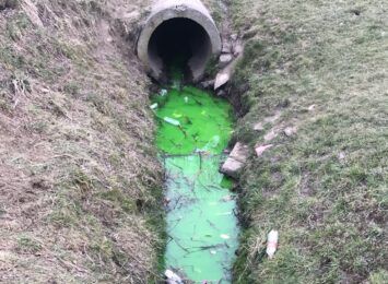 Zielona woda w cieku wodnym w Jastrzębiu-Zdroju. Jaka jest przyczyna? Sprawdziliśmy