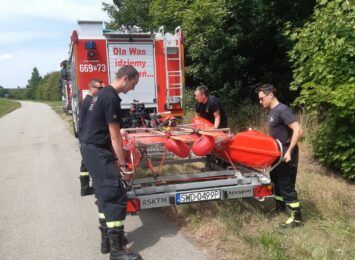 Strażacy z Wodzisławia pomagają... rybom. Nietypowa akcja mundurowych