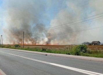 Pożar na polu w Wilczy, na trasie Rybnik - Gliwice. Zagrożone są budynki mieszkalne [FOTO] [AKTUALIZACJA]