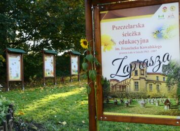 Pomysł na weekend: Ścieżka edukacyjna o pszczołach i miodzie w Czernicy [FOTO]