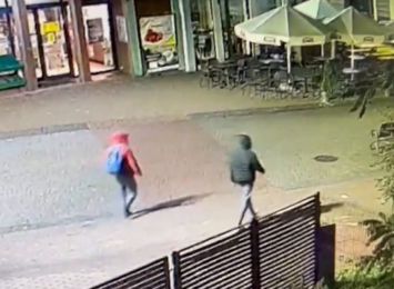 Wodzisław Śląski: Policja szuka złodzieja mebli ogrodowych