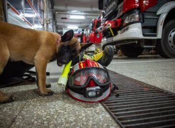 Nowa funkcjonariuszka w służbie jastrzębskich strażaków