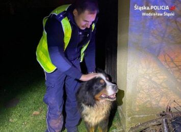 Policjant pomógł psu błąkającemu się po Marklowicach