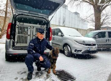 Policyjny pies na emeryturze. Ibajon i jego przewodnik żegnają się ze służbą