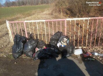 Dzikie wysypisko śmieci w Gorzycach