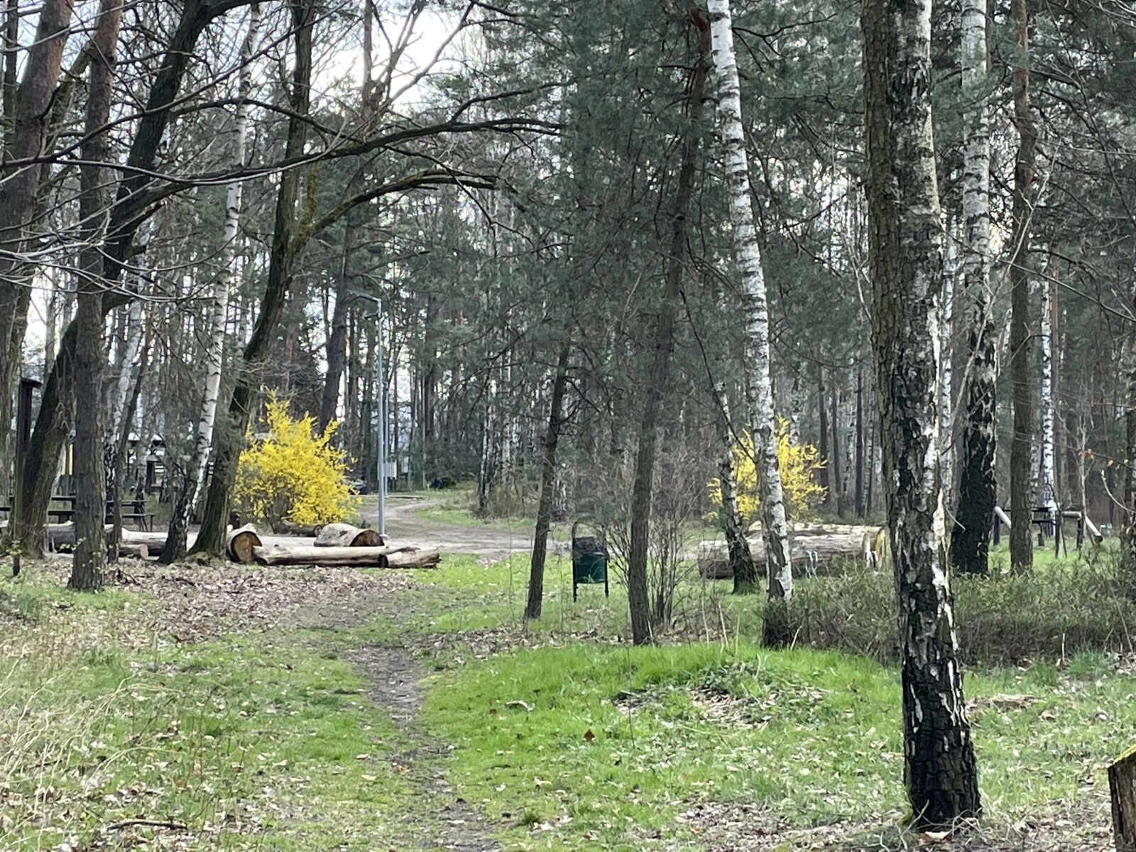 Park Piaskownia w Żorach