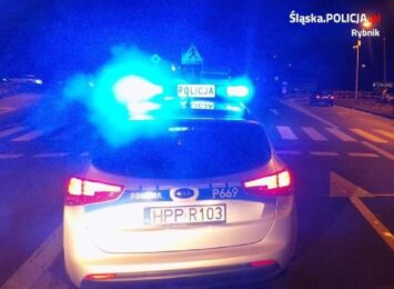Wypadek z udziałem pieszego w Rybniku, Wypadek na DK 81, straciła pieniądze