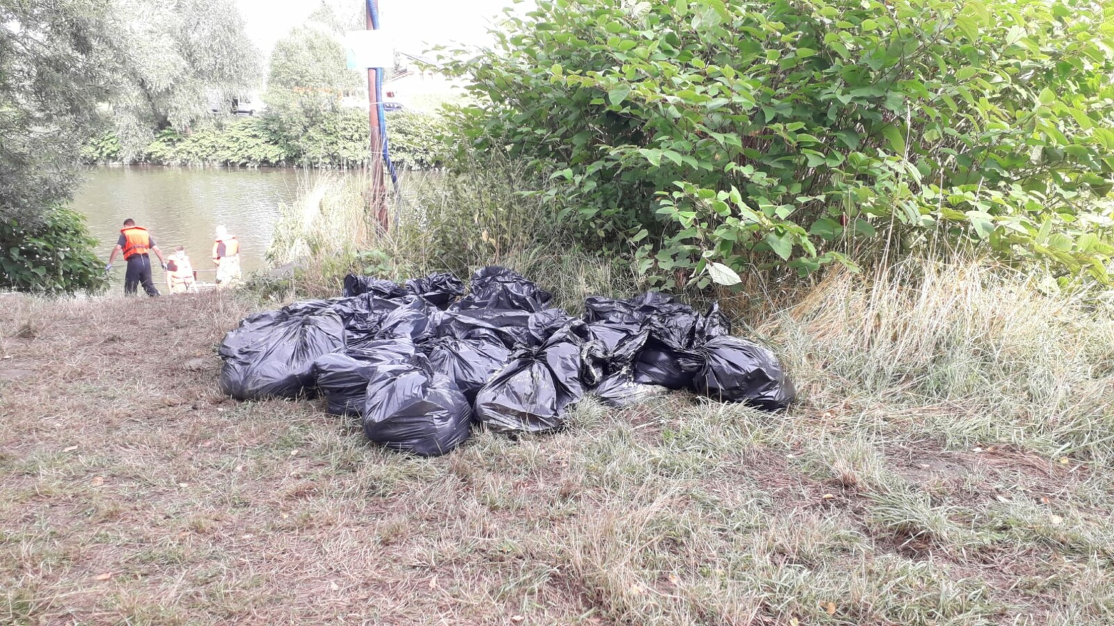 Śnięte ryby w Odrze. Mamy najnowsze informacje: Wyłowiono już 200 kg