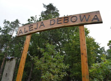 Aleja Debowa R90 (2)
