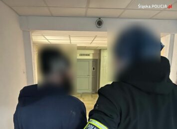 Pedofil zatrzymany przez śląskich policjantów